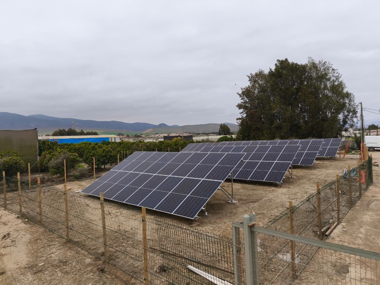 WhatsApp Image 2025-11-24 at 10.04.52 AM